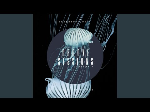 The Revival ft. Patricia Edwards (Original Mix)