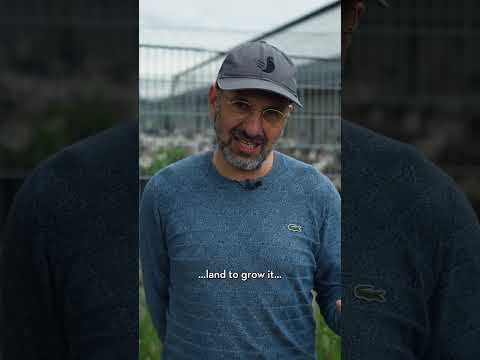Kipster has certified carbon neutral eggs