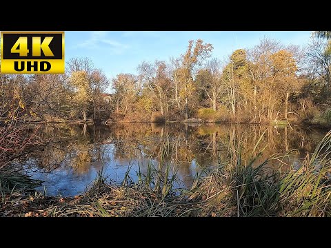 4K Walk in Massachusetts - Hall's Pond Sanctuary