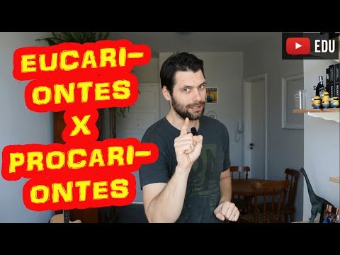 Células Eucariontes x Procariontes: Principais Diferenças