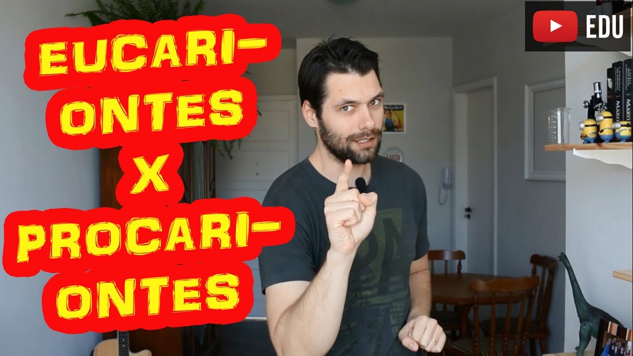 Células Eucariontes x Procariontes: Principais Diferenças