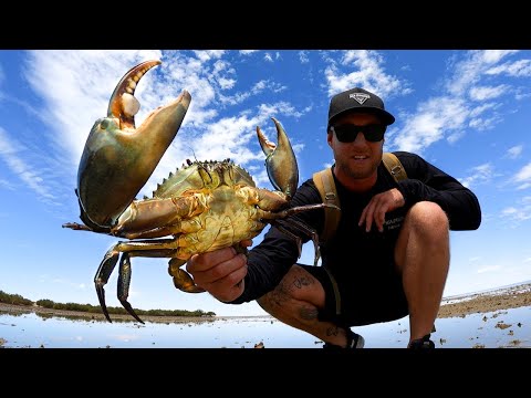 GIANT MUD CRABS - CAUGHT BY HAND - catch and cook on the fire