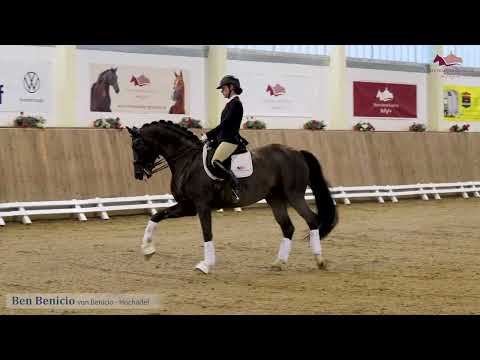 Ben Benicio v. Benicio x Hochadel