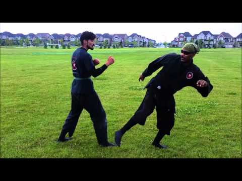 Kage Musha Dojo – Stopping Kicks