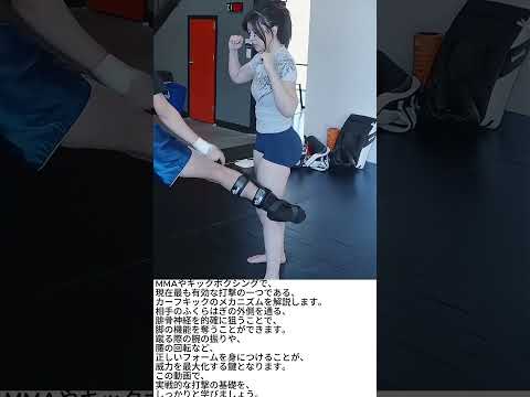 威力倍増！実戦的なカーフキックのフォーム解説 #キックボクシング #格闘技 #カーフキック解説