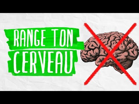 Le Reflexe Myotatique - SVT- Terminale