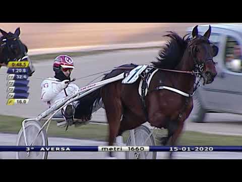 Aversa trotto 15 Gennaio 2020 - 3° Corsa