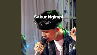 Download lagu SAKUR NGIMPI mp3