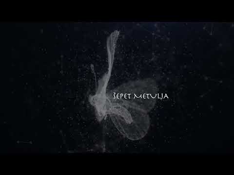Šepet metulja