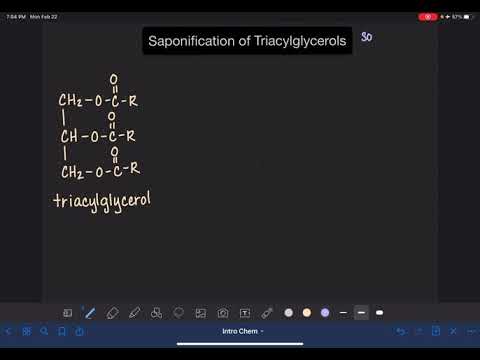 54: Saponification of triacylglycerols
