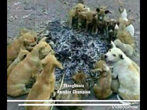 Thangbuaia - Awmhar Champion