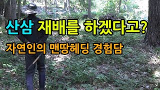 산삼 재배를 하겠다고? (자연인의 맨땅헤딩 경험담)