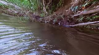 Rural Scenery River Water Channel And Irrigation In The Agricultural Areas