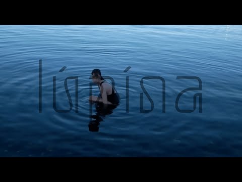 lúpína - gegnsæ (Official Audio With Translated Lyrics)