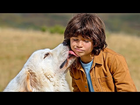 BELLE & SEBASTIAN | Trailer deutsch german [HD]