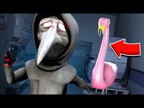 НОВЫЙ SCP ФЛАМИНГО ОХОТИТСЯ НА SCP│14.0 В SCP : SECRET LABORATORY
