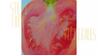 Samuel Seo - Happy Avocado M/V teaser