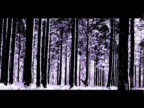 obylx - ghosts (OFFICIAL VIDEO)