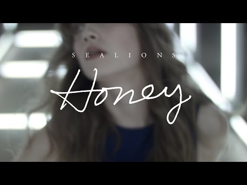 Sealions - Honey