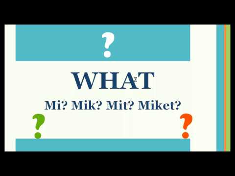 Kezdő angol - Kérdőszavak - OpenWingsEnglish ingyen leckék