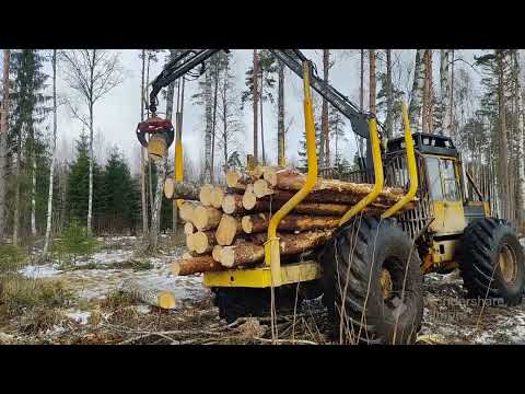 Winter 2023 logging | wet conditions | LKT-81