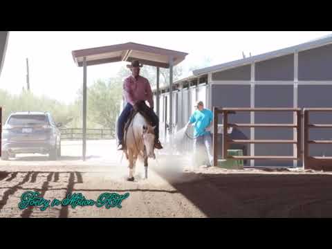 Model My Diamonds  ~ reining horse edit.