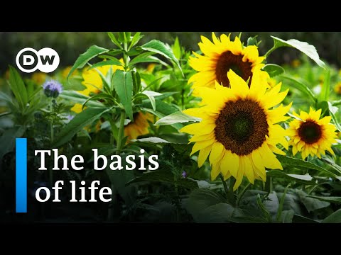 Working the Land for Our Climate: Healthy Soil, Healthy World
