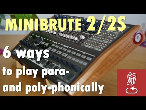 MiniBrute 2/2S: Here are 6 ways to play them paraphonically and polyphonically