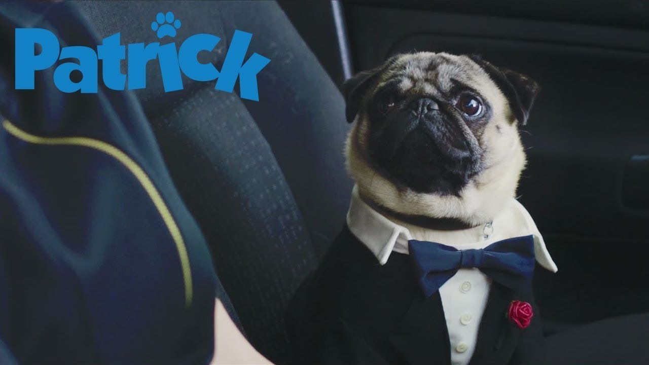 Patrick: Aprendendo a Amar (Patrick) - Trailer Legendado