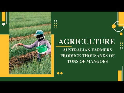 ECO 261 VIDEO PRESENTATION