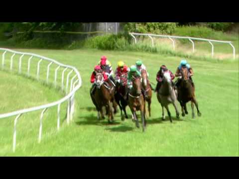 2016.06.26 Dansk Breeders Cup - Karmastrikesback