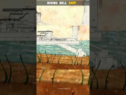 Walking Under the Water Without Getting Wet!.. #shorts #facts