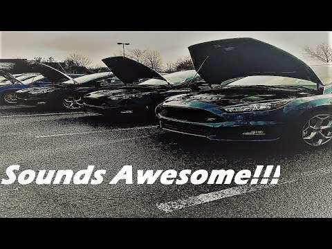 2018 Focus ST Mountune Exhaust Review!!!