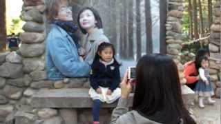 preview picture of video '2012.10.20 남이섬 단풍 구경(Leaves of Namiseom Island)'