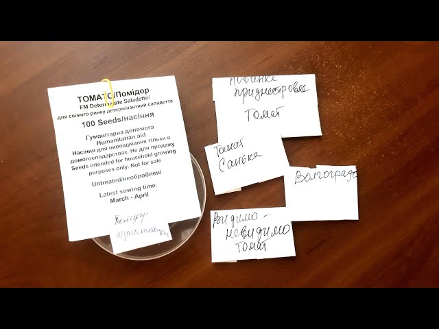 Youtube Video Youtube Video