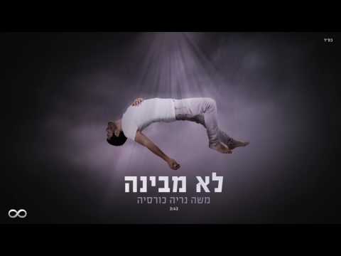 לא מבינה
