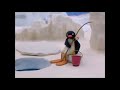 Pingu Coming To DVD Trailer