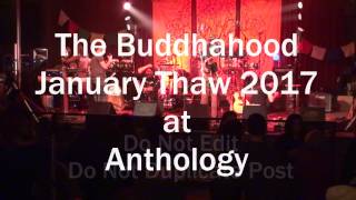The Buddhahood ~ January Thaw 2017 ~ Anthology Rochester, NY