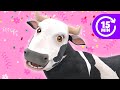 Las Mejores Canciones De La Vaca Lola La Granja De Zenón El Reino Infantil