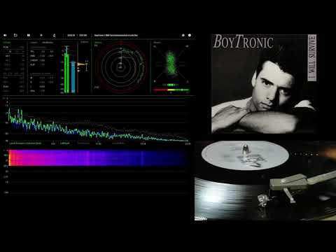 Boytronic --I Will Survive
