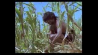 In The Beginning (Genesis) Book 1: Part 3