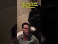 When You Forget To Re Order Cat Treats #funny #funnycats #cats #funnycat #short #shorts