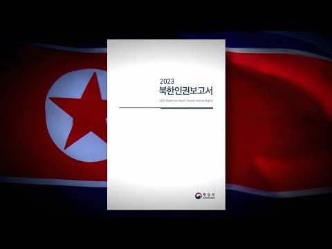 정부, 북한인권보고서 첫 공개 발간…청소년도 공개처형 / 연합뉴스TV (YonhapnewsTV)