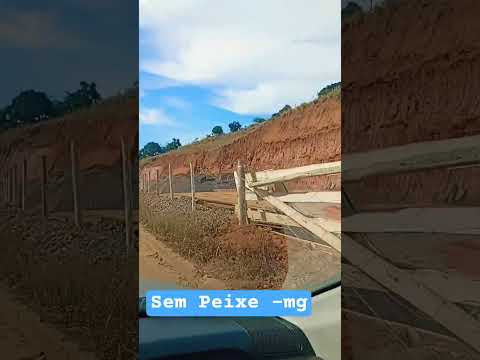 Sem Peixe - mg