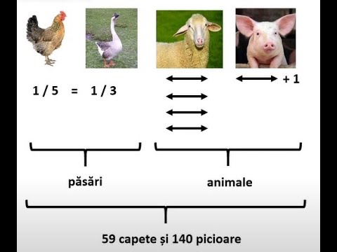 Iubesc matematica. Problema 024 - metoda comparației și a falsei ipoteze.