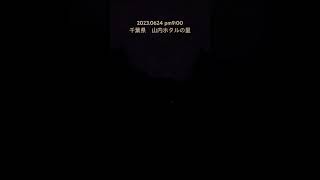 ホタル鑑賞　千葉県長南町　山内ホタルの里にて