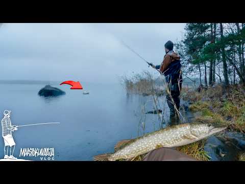 HAUKEA RANNALTA – 16 tapahtuman kalapäivä