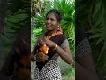 Medhuva Thanthi Dance Dancemusic Song Love Couple Folksong Tamilsong Comedy