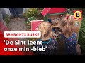 Een kastje van de Sint en bijzondere trouwfoto's | Brabants Buske