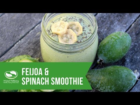 download lagu mp3 mp4 Simple Feijoa Smoothie, download lagu Simple Feijoa Smoothie gratis, unduh video klip Simple Feijoa Smoothie